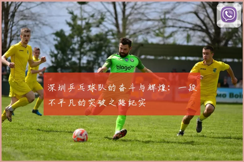 深圳乒乓球队的奋斗与辉煌：一段不平凡的突破之路纪实
