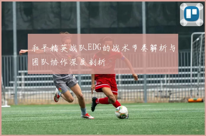 和平精英战队EDG的战术节奏解析与团队协作深度剖析
