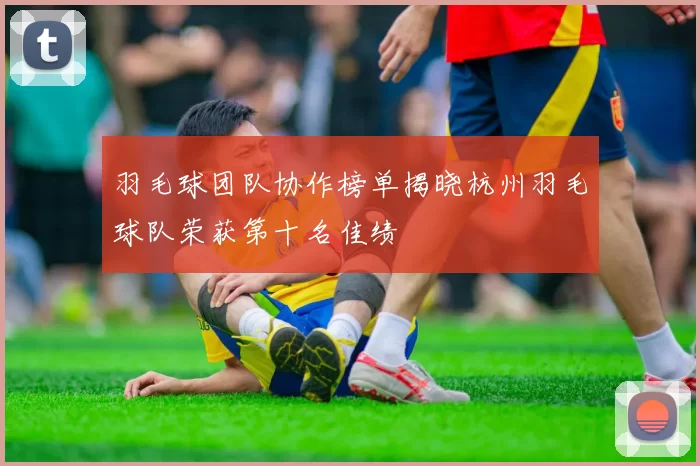 羽毛球团队协作榜单揭晓杭州羽毛球队荣获第十名佳绩
