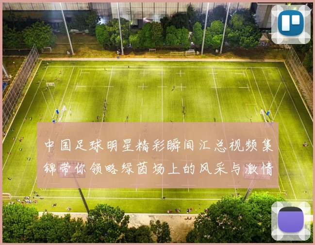 中国足球明星精彩瞬间汇总视频集锦带你领略绿茵场上的风采与激情