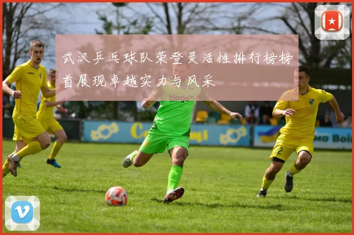 武汉乒乓球队荣登灵活性排行榜榜首展现卓越实力与风采