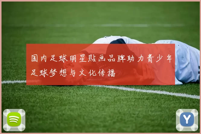 国内足球明星贴画品牌助力青少年足球梦想与文化传播