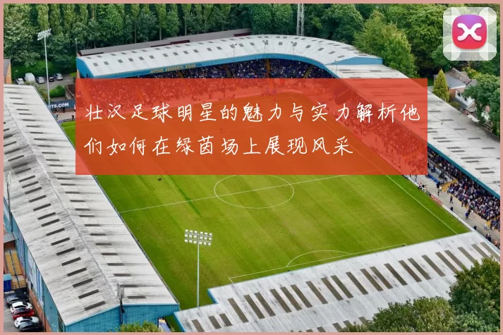 壮汉足球明星的魅力与实力解析他们如何在绿茵场上展现风采