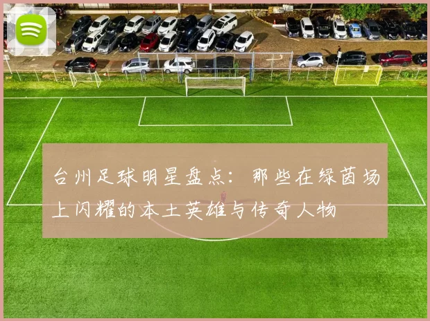 台州足球明星盘点：那些在绿茵场上闪耀的本土英雄与传奇人物