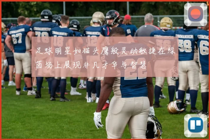 足球明星如猫头鹰般灵动敏捷在绿茵场上展现非凡才华与智慧