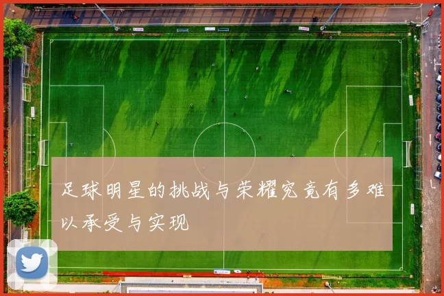 足球明星的挑战与荣耀究竟有多难以承受与实现