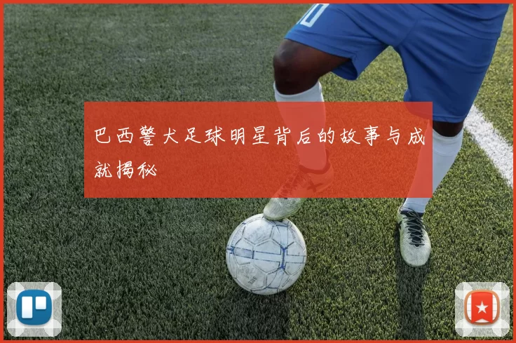 巴西警犬足球明星背后的故事与成就揭秘