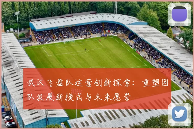 武汉飞盘队运营创新探索：重塑团队发展新模式与未来愿景