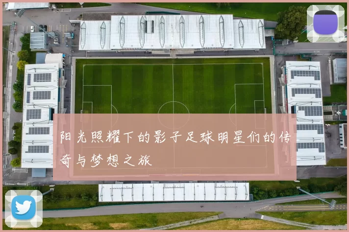 阳光照耀下的影子足球明星们的传奇与梦想之旅