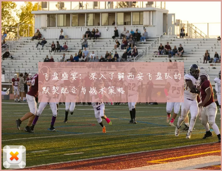 飞盘盛宴：深入了解西安飞盘队的默契配合与战术策略