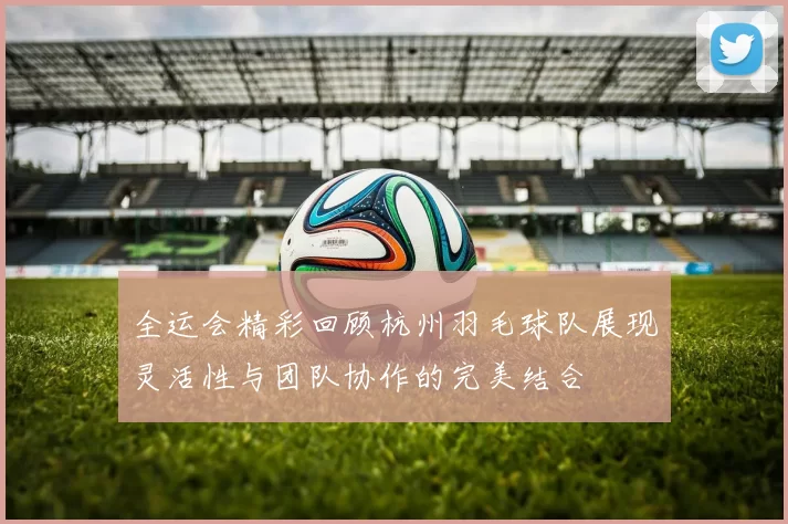 全运会精彩回顾杭州羽毛球队展现灵活性与团队协作的完美结合