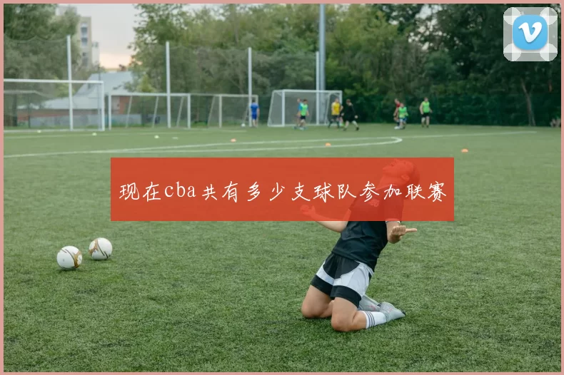 现在cba共有多少支球队参加联赛
