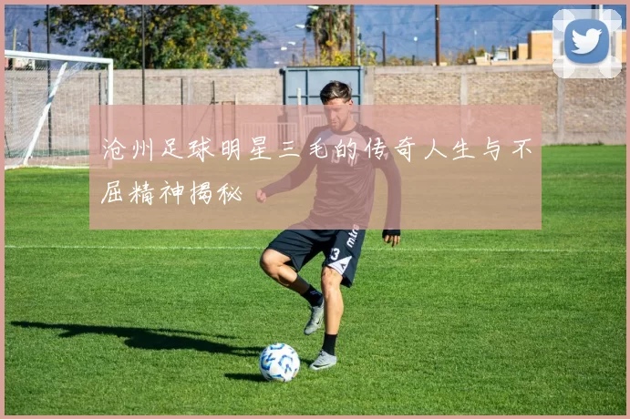 沧州足球明星三毛的传奇人生与不屈精神揭秘