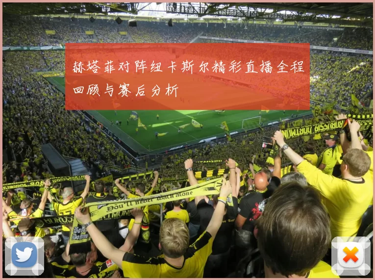 赫塔菲对阵纽卡斯尔精彩直播全程回顾与赛后分析